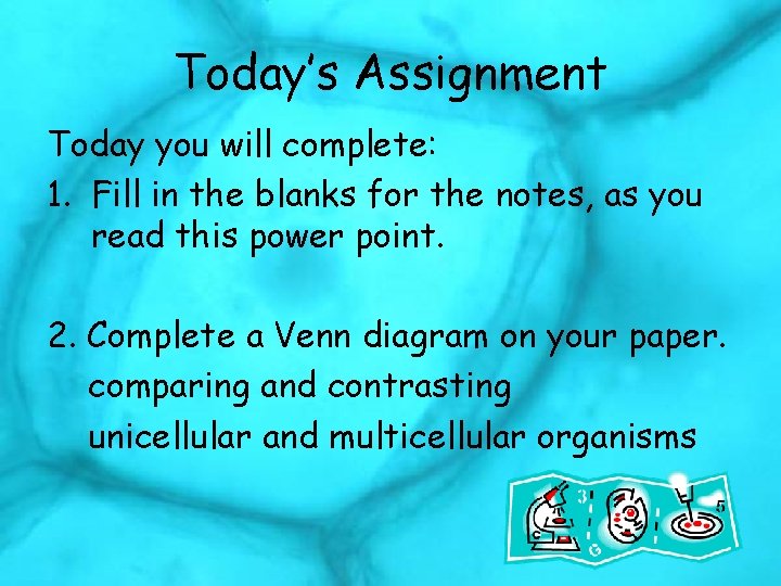 Today’s Assignment Today you will complete: 1. Fill in the blanks for the notes,