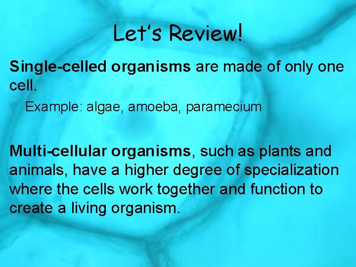 Let’s Review! Single-celled organisms are made of only one cell. Example: algae, amoeba, paramecium
