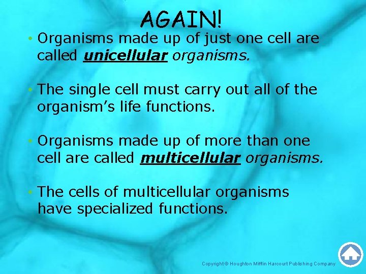AGAIN! • Organisms made up of just one cell are called unicellular organisms. •