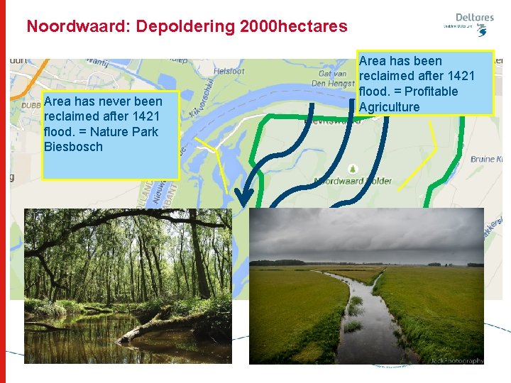 Noordwaard: Depoldering 2000 hectares Area has never been reclaimed after 1421 flood. = Nature