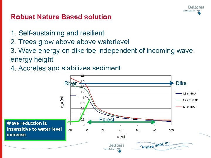 Robust Nature Based solution 1. Self-sustaining and resilient 2. Trees grow above waterlevel 3.