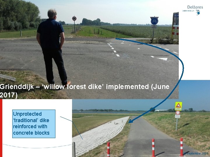 Grienddijk – ‘willow forest dike’ implemented (June 2017) Unprotected ‘traditional’ dike reinforced with concrete