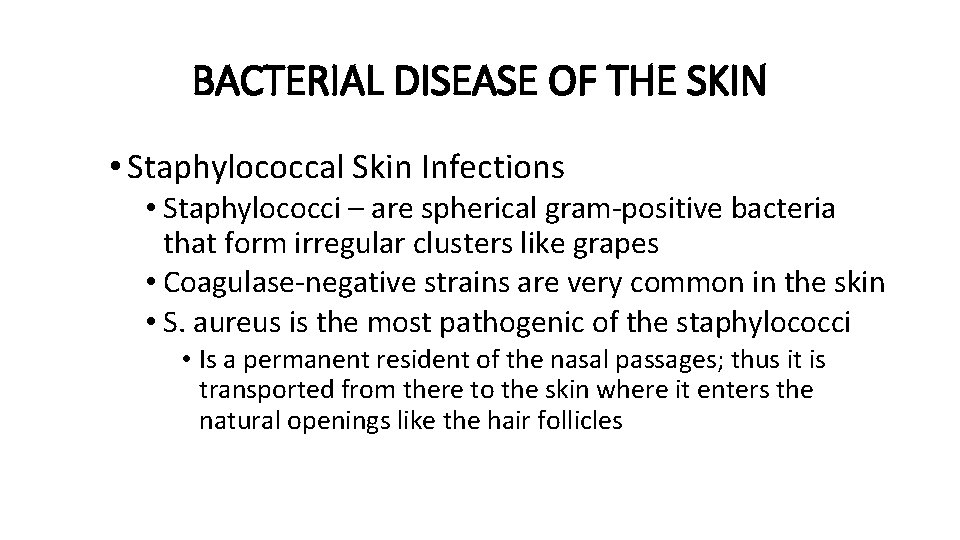 BACTERIAL DISEASE OF THE SKIN • Staphylococcal Skin Infections • Staphylococci – are spherical