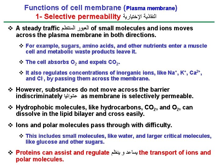 Functions of cell membrane (Plasma membrane) 1 - Selective permeability ﺍﻟﻨﻔﺎﺫﻳﺔ ﺍﻹﺧﺘﻴﺎﺭﻳﺔ v A