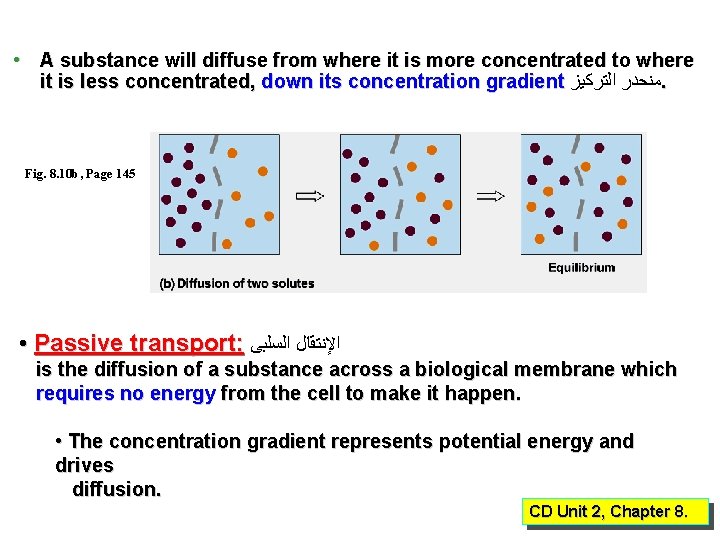  • A substance will diffuse from where it is more concentrated to where