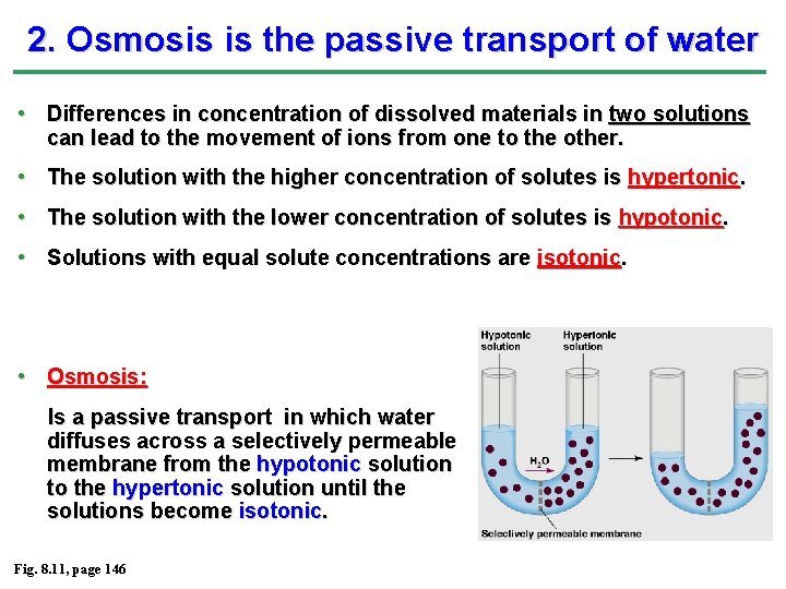 2. Osmosis is the passive transport of water • Differences in concentration of dissolved