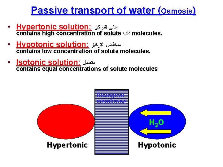 Passive transport of water (Osmosis) • Hypertonic solution: ﻋﺎﻟﻰ ﺍﻟﺘﺮﻛﻴﺰ contains high concentration of