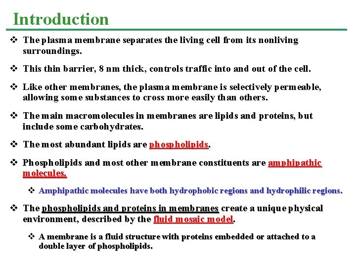 Introduction v The plasma membrane separates the living cell from its nonliving surroundings. v