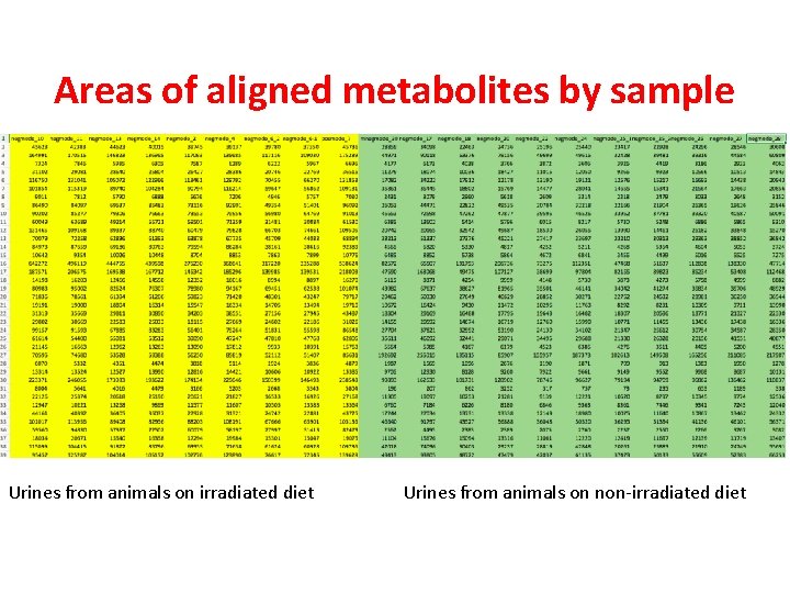 Areas of aligned metabolites by sample Urines from animals on irradiated diet Urines from