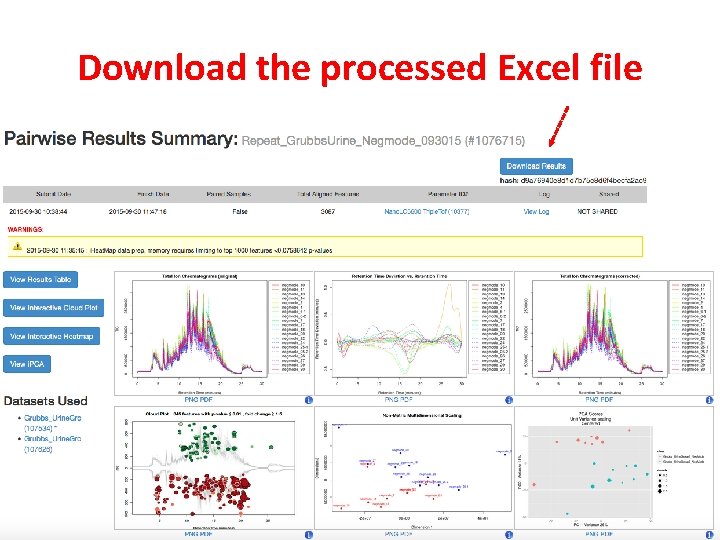 Download the processed Excel file 