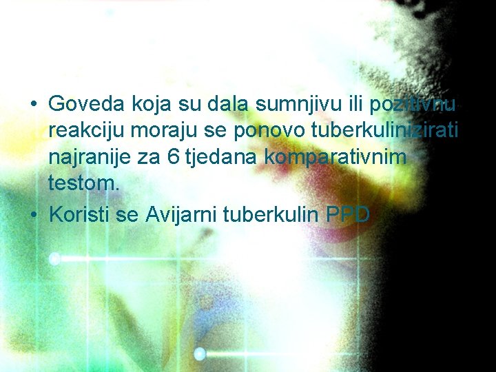  • Goveda koja su dala sumnjivu ili pozitivnu reakciju moraju se ponovo tuberkulinizirati