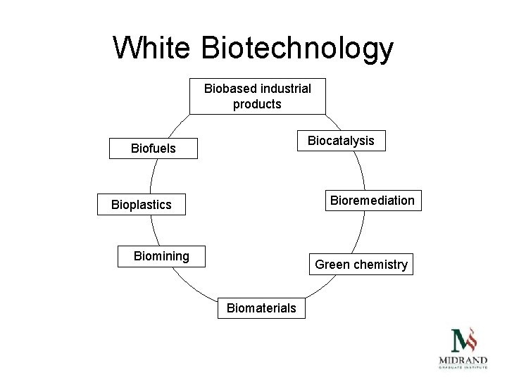 White Biotechnology Biobased industrial products Biocatalysis Biofuels Bioremediation Bioplastics Biomining Green chemistry Biomaterials 