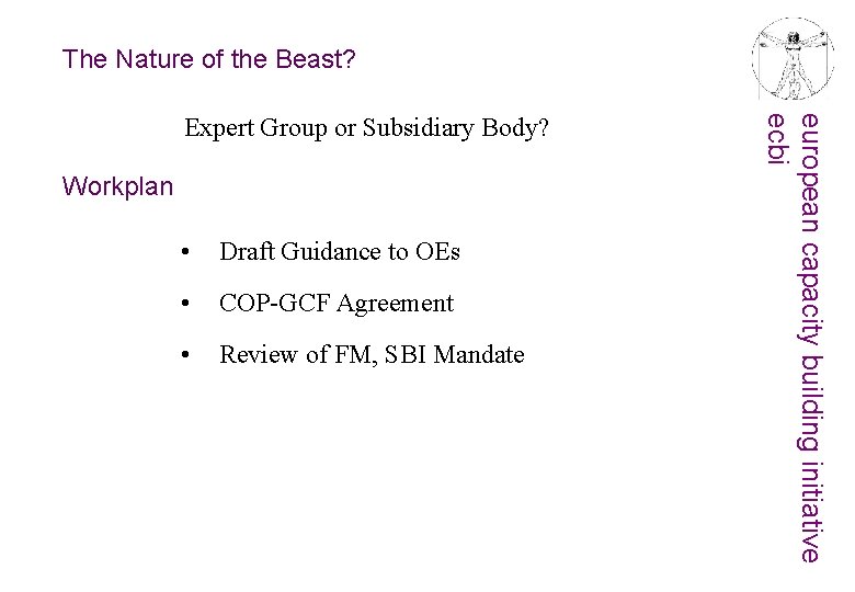 The Nature of the Beast? Workplan • Draft Guidance to OEs • COP-GCF Agreement