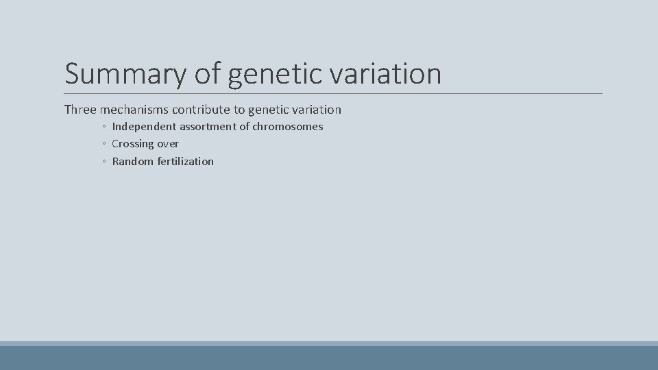 Summary of genetic variation Three mechanisms contribute to genetic variation ◦ Independent assortment of