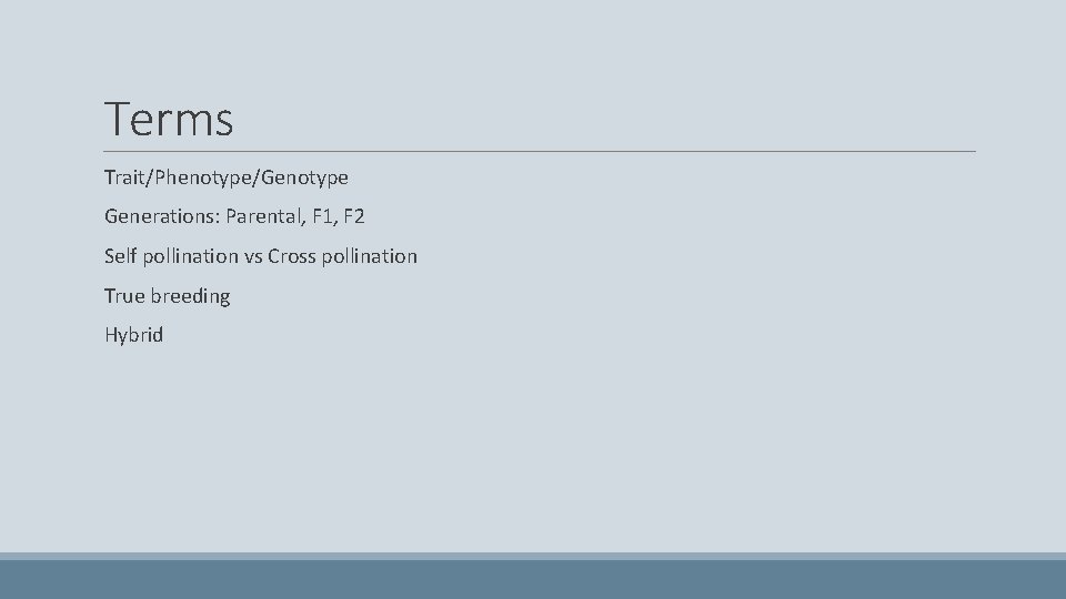 Terms Trait/Phenotype/Genotype Generations: Parental, F 1, F 2 Self pollination vs Cross pollination True