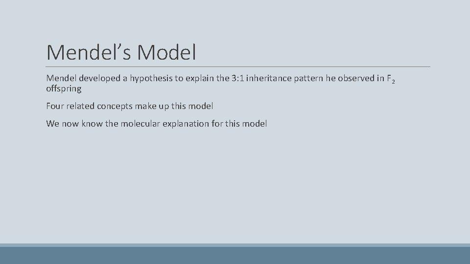 Mendel’s Model Mendel developed a hypothesis to explain the 3: 1 inheritance pattern he