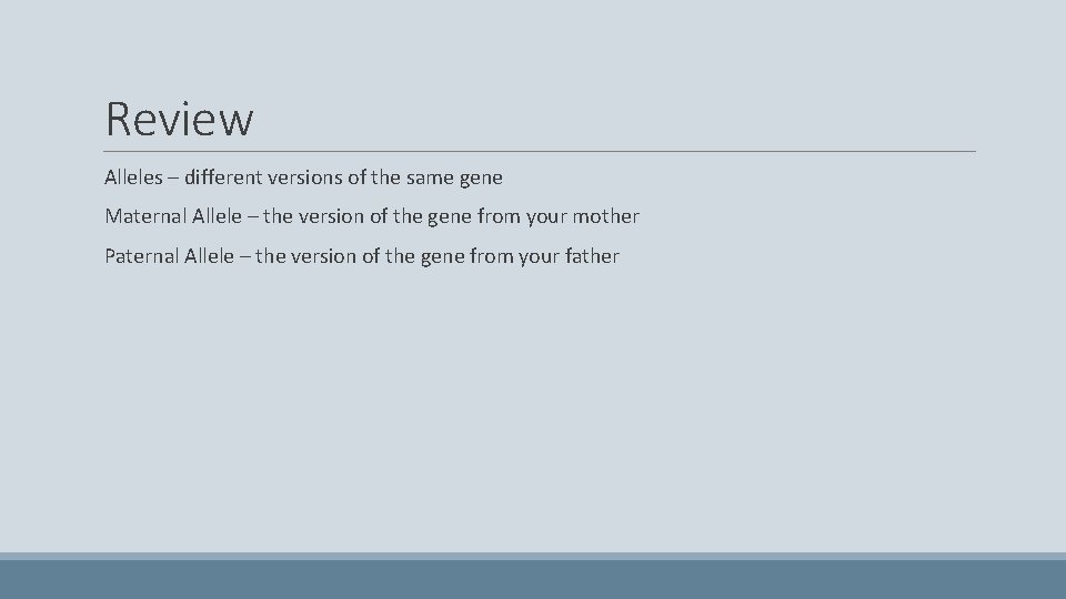 Review Alleles – different versions of the same gene Maternal Allele – the version