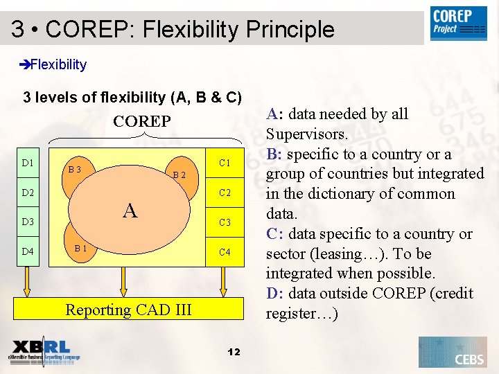 3 • COREP: Flexibility Principle èFlexibility 3 levels of flexibility (A, B & C)