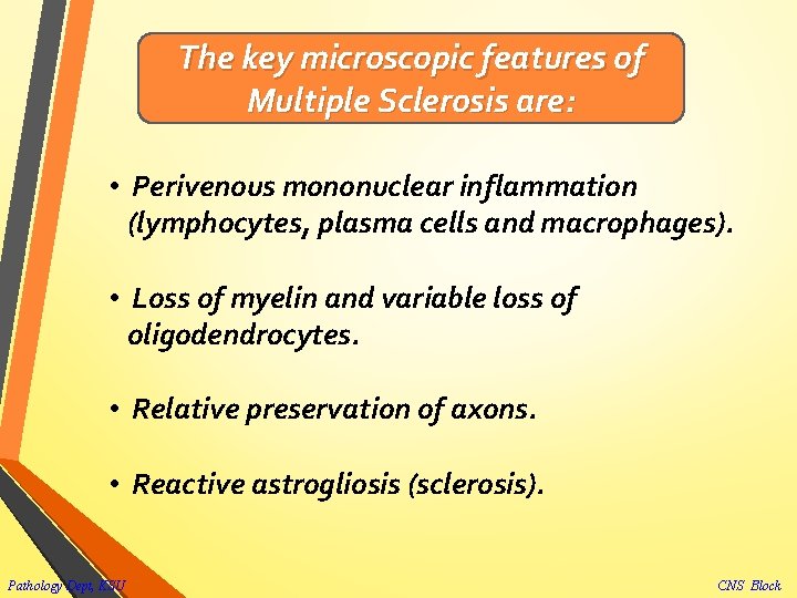 The key microscopic features of Multiple Sclerosis are: • Perivenous mononuclear inflammation (lymphocytes, plasma