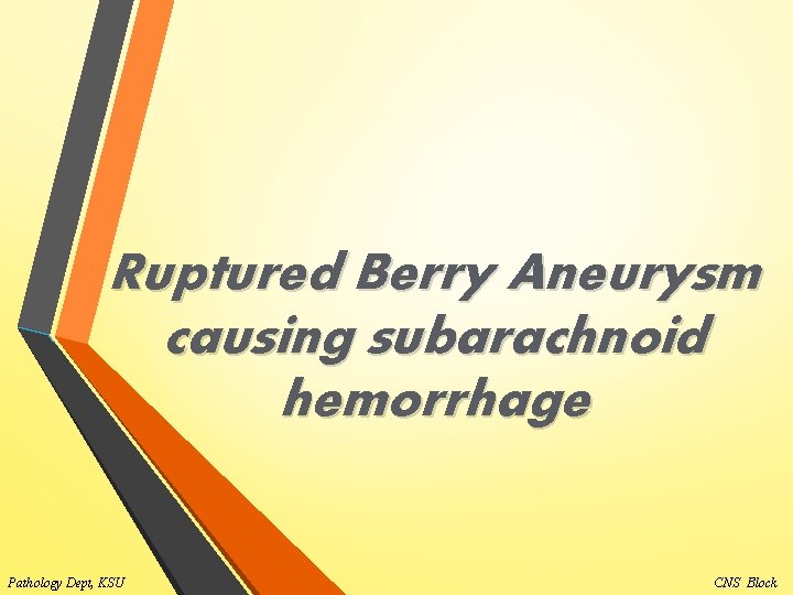 Ruptured Berry Aneurysm causing subarachnoid hemorrhage Pathology Dept, KSU CNS Block 