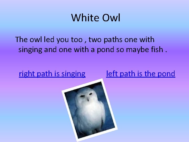 White Owl The owl led you too , two paths one with singing and