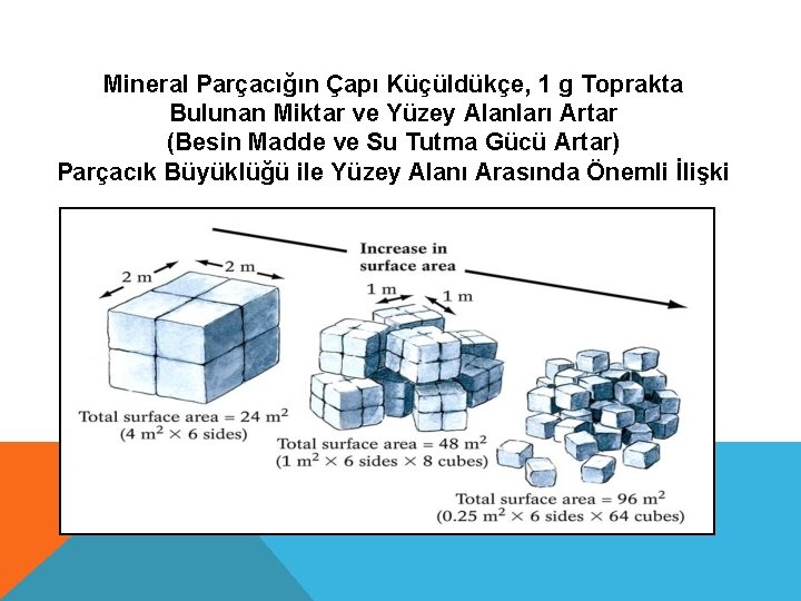 Mineral Parçacığın Çapı Küçüldükçe, 1 g Toprakta Bulunan Miktar ve Yüzey Alanları Artar (Besin