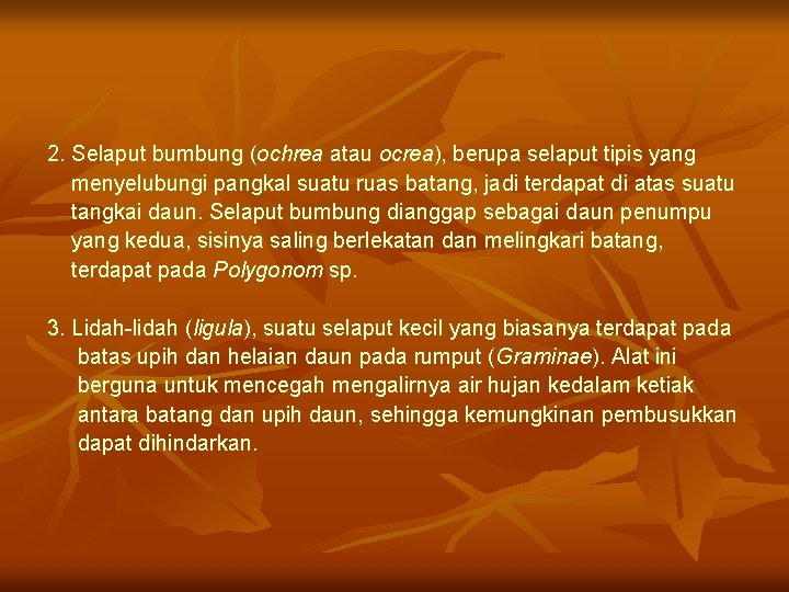 2. Selaput bumbung (ochrea atau ocrea), berupa selaput tipis yang menyelubungi pangkal suatu ruas