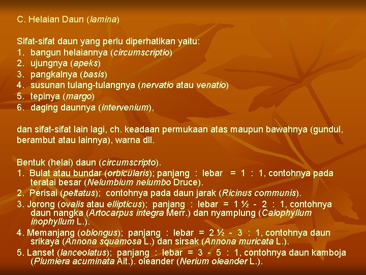 C. Helaian Daun (lamina) Sifat-sifat daun yang perlu diperhatikan yaitu: 1. bangun helaiannya (circumscriptio)