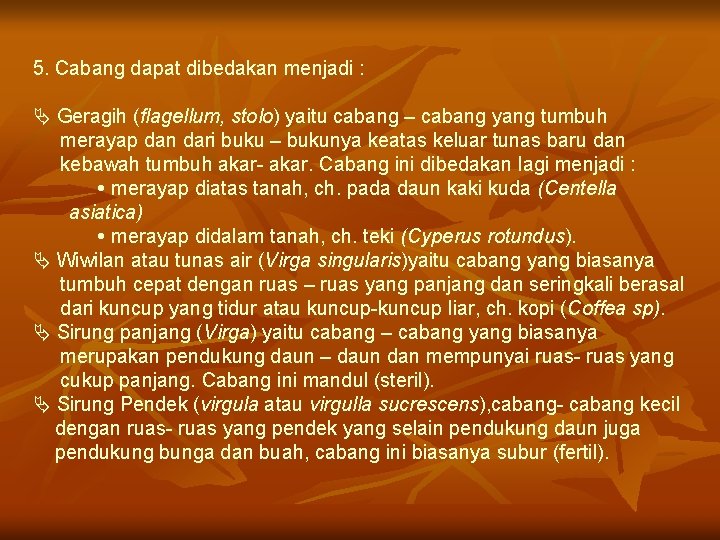 5. Cabang dapat dibedakan menjadi : Ä Geragih (flagellum, stolo) yaitu cabang – cabang