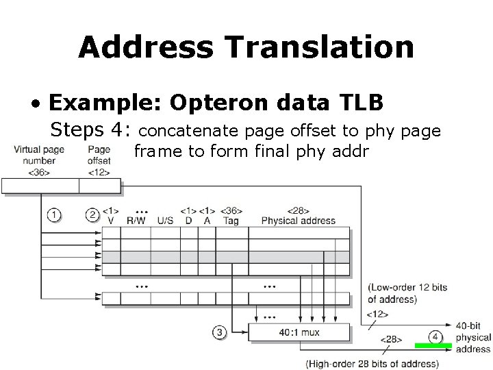 Address Translation • Example: Opteron data TLB Steps 4: concatenate page offset to phy Address Translation • Example: Opteron data TLB Steps 4: concatenate page offset to phy