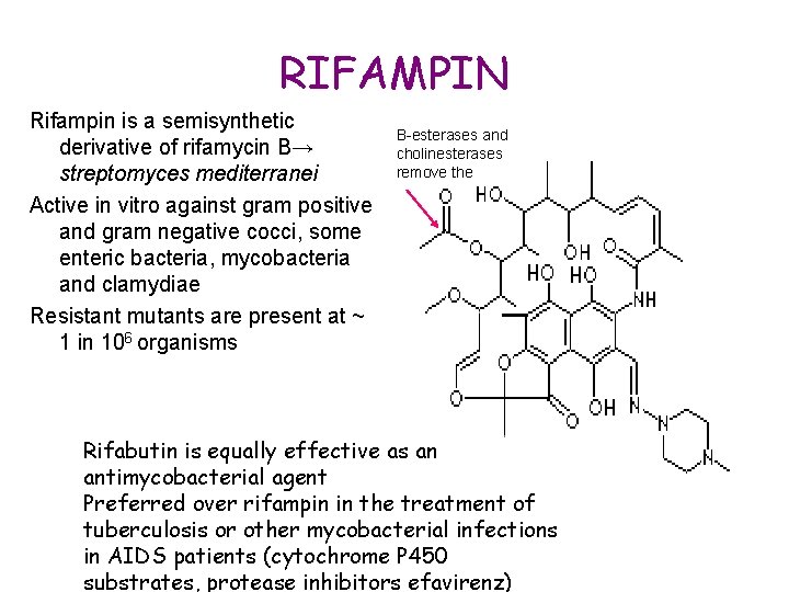 RIFAMPIN Rifampin is a semisynthetic derivative of rifamycin B→ streptomyces mediterranei Active in vitro