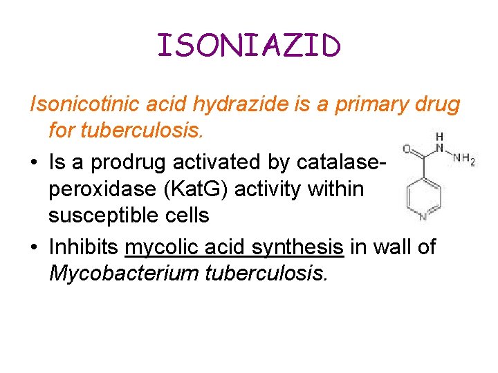 ISONIAZID Isonicotinic acid hydrazide is a primary drug for tuberculosis. • Is a prodrug