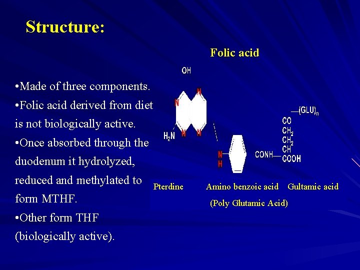 Structure: Folic acid • Made of three components. • Folic acid derived from diet