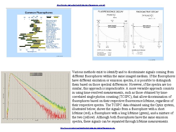 http: //biophys. med. unideb. hu/old/pharmacy/fluorescence_print. pdf Various methods exist to identify and to discriminate