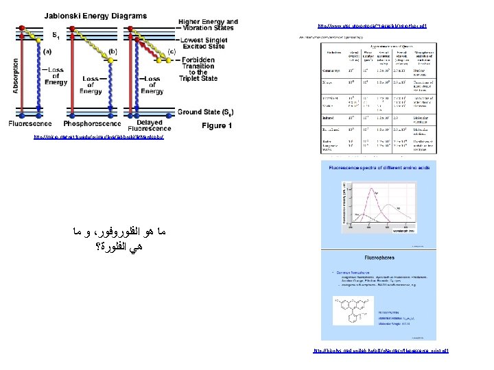 http: //www. utsc. utoronto. ca/~traceslab/Intro. Fluor. pdf http: //micro. magnet. fsu. edu/primer/java/jablonski/lightandcolor/ ﻭ ﻣﺎ