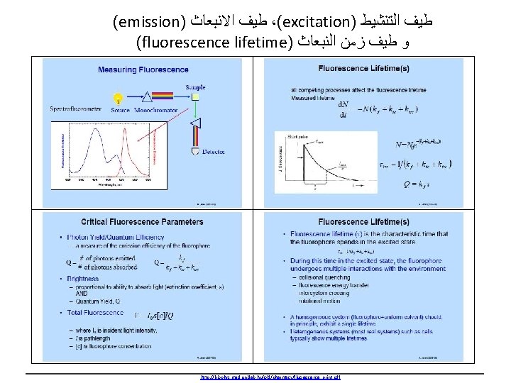 (emission) ﻃﻴﻒ ﺍﻻﻧﺒﻌﺎﺙ ،(excitation) ﻃﻴﻒ ﺍﻟﺘﻨﺸﻴﻂ (fluorescence lifetime) ﻭ ﻃﻴﻒ ﺯﻣﻦ ﺍﻟﻨﺒﻌﺎﺙ http: //biophys.