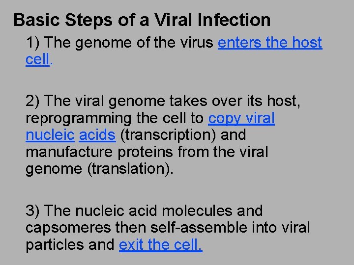 Basic Steps of a Viral Infection 1) The genome of the virus enters the