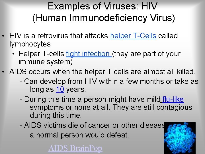 Examples of Viruses: HIV (Human Immunodeficiency Virus) • HIV is a retrovirus that attacks