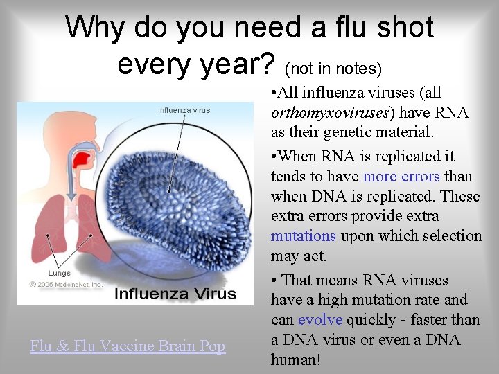 Why do you need a flu shot every year? (not in notes) Flu &