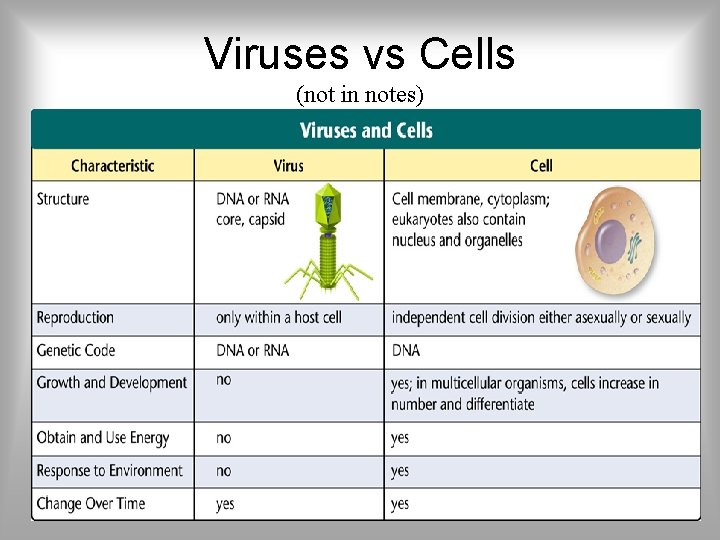 Viruses vs Cells (not in notes) 