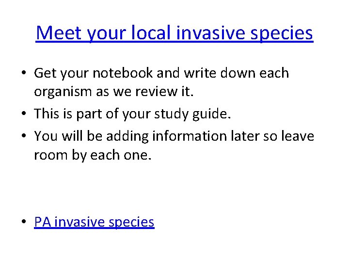 Meet your local invasive species • Get your notebook and write down each organism