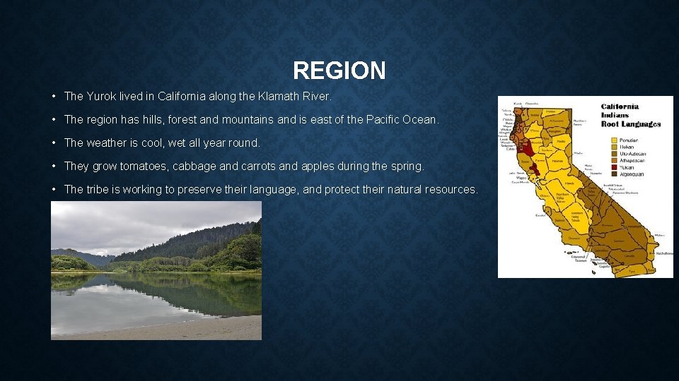 REGION • The Yurok lived in California along the Klamath River. • The region