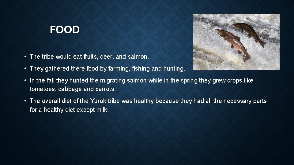 FOOD • The tribe would eat fruits, deer, and salmon. • They gathered there