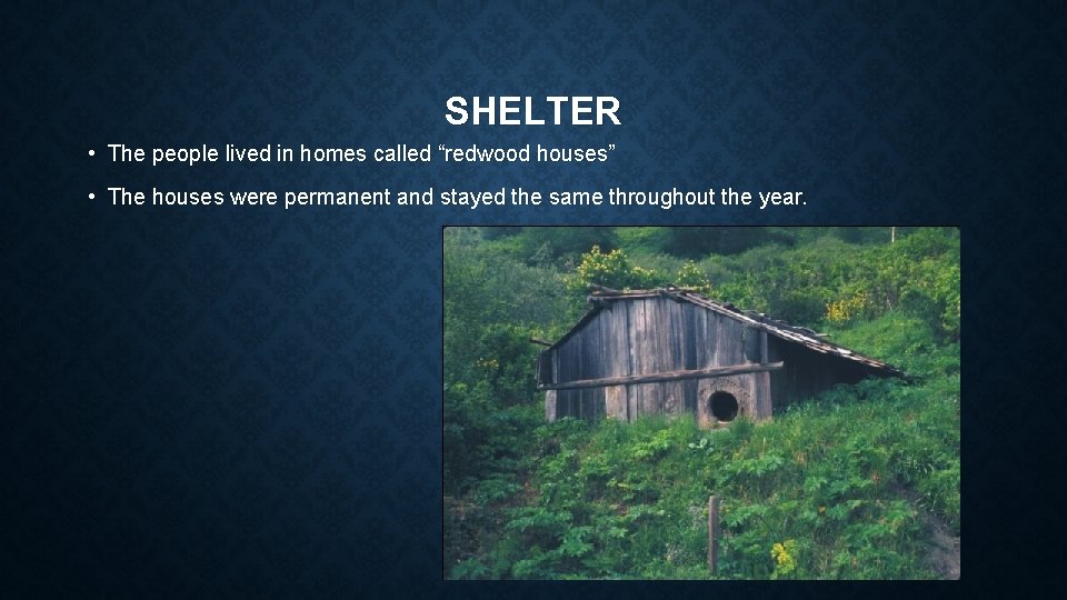 SHELTER • The people lived in homes called “redwood houses” • The houses were
