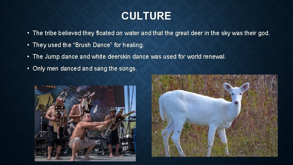 CULTURE • The tribe believed they floated on water and that the great deer