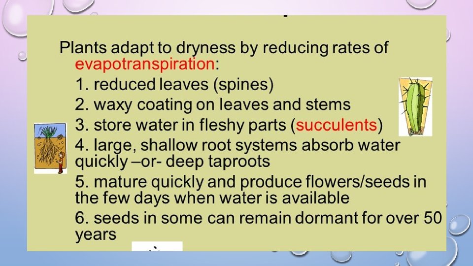 ADAPTATIONS Types of Structural Adaptations CAMOUFLAGECOLORATION