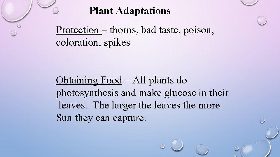 Plant Adaptations Protection – thorns, bad taste, poison, coloration, spikes Obtaining Food – All