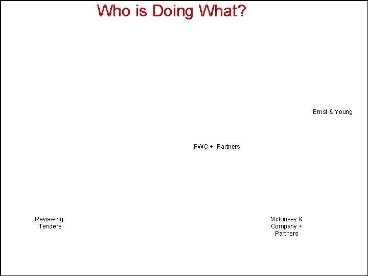 Who is Doing What? Ernst & Young PWC + Partners Reviewing Tenders Mc. Kinsey