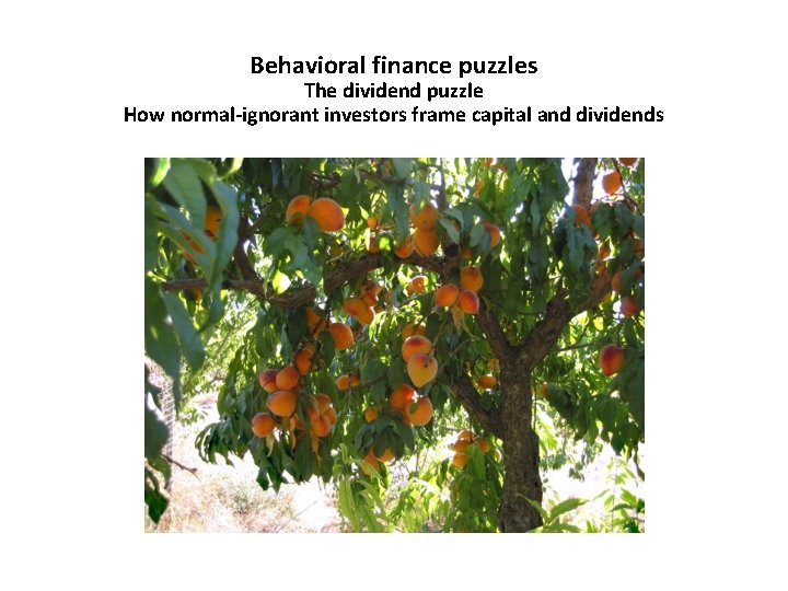 Behavioral finance puzzles The dividend puzzle How normal-ignorant investors frame capital and dividends 