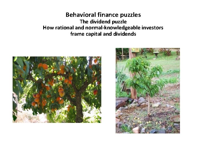 Behavioral finance puzzles The dividend puzzle How rational and normal-knowledgeable investors frame capital and